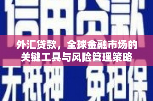 郴州外汇贷款，全球金融市场的关键工具与风险管理策略