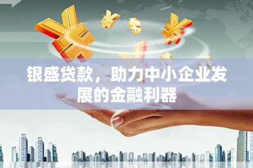 郴州银盛贷款，助力中小企业发展的金融利器