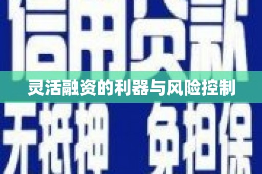 郴州灵活融资的利器与风险控制