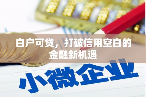 郴州白户可贷，打破信用空白的金融新机遇