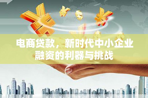 郴州电商贷款，新时代中小企业融资的利器与挑战