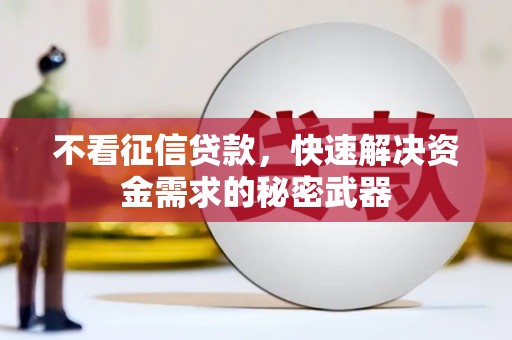 郴州不看征信贷款，快速解决资金需求的秘密武器