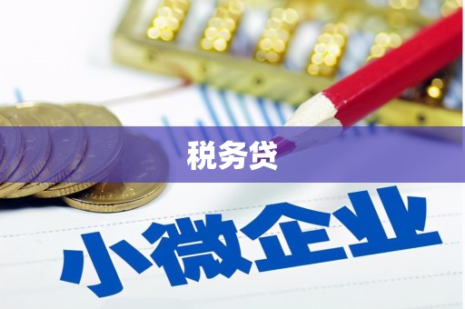 郴州税务贷