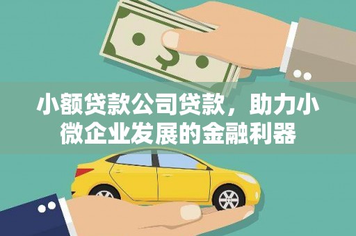 郴州小额贷款公司贷款，助力小微企业发展的金融利器
