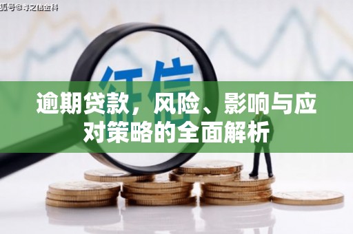 郴州逾期贷款，风险、影响与应对策略的全面解析
