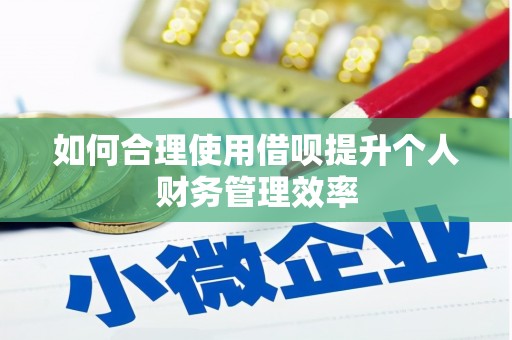 郴州如何合理使用借呗提升个人财务管理效率