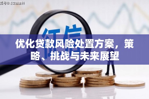 郴州优化贷款风险处置方案，策略、挑战与未来展望