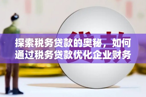 郴州探索税务贷款的奥秘，如何通过税务贷款优化企业财务