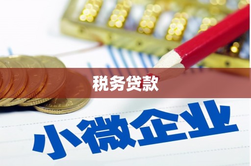 郴州税务贷款