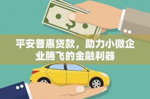 郴州平安普惠贷款，助力小微企业腾飞的金融利器
