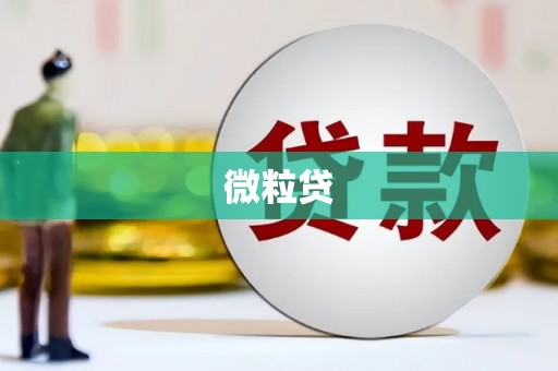 郴州微粒贷