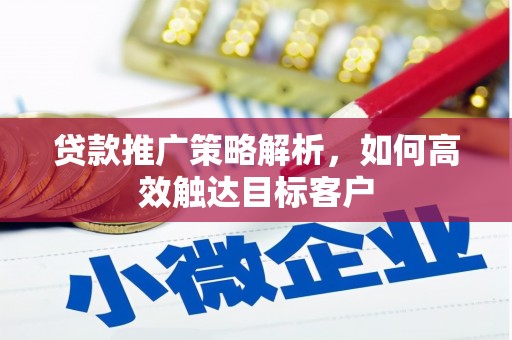 郴州贷款推广策略解析，如何高效触达目标客户