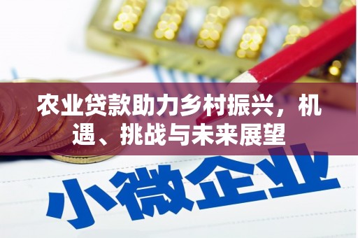 郴州农业贷款助力乡村振兴，机遇、挑战与未来展望