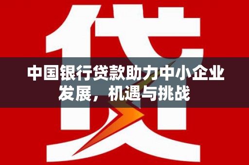 郴州中国银行贷款助力中小企业发展，机遇与挑战