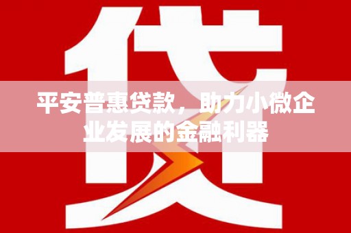 郴州平安普惠贷款，助力小微企业发展的金融利器