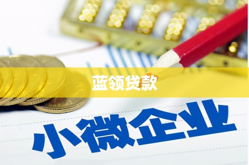 郴州蓝领贷款
