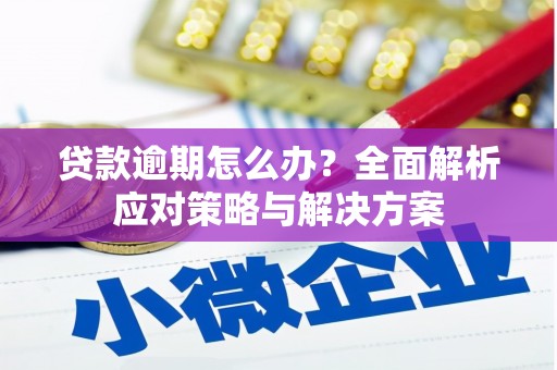 郴州贷款逾期怎么办？全面解析应对策略与解决方案