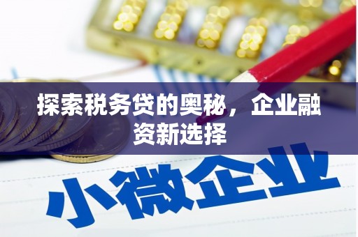 郴州探索税务贷的奥秘，企业融资新选择
