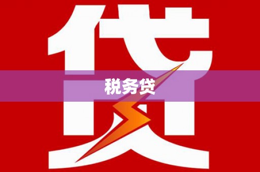 郴州税务贷