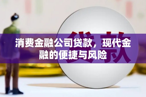郴州消费金融公司贷款，现代金融的便捷与风险
