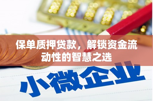 郴州保单质押贷款，解锁资金流动性的智慧之选