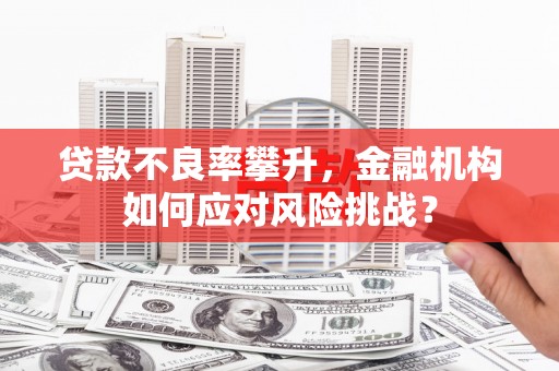 郴州贷款不良率攀升，金融机构如何应对风险挑战？