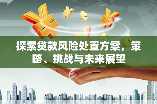 郴州探索贷款风险处置方案，策略、挑战与未来展望