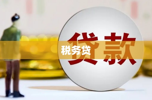 郴州税务贷