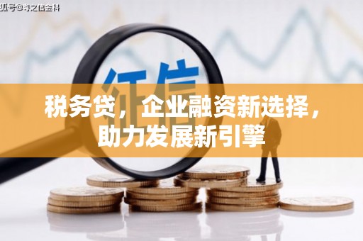 郴州税务贷，企业融资新选择，助力发展新引擎