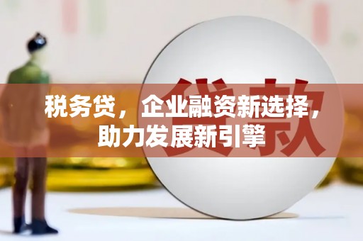 郴州税务贷，企业融资新选择，助力发展新引擎