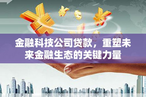 郴州金融科技公司贷款，重塑未来金融生态的关键力量