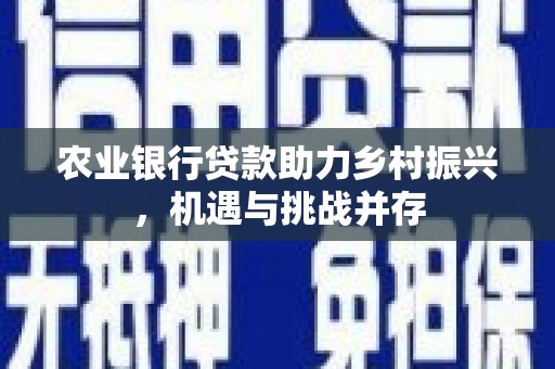 郴州农业银行贷款助力乡村振兴，机遇与挑战并存