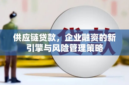 郴州供应链贷款，企业融资的新引擎与风险管理策略