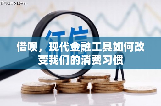 郴州借呗，现代金融工具如何改变我们的消费习惯