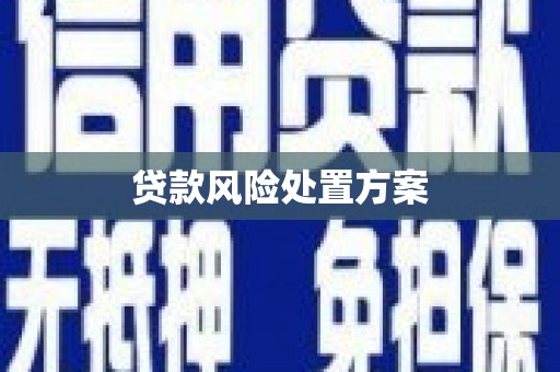 郴州贷款风险处置方案