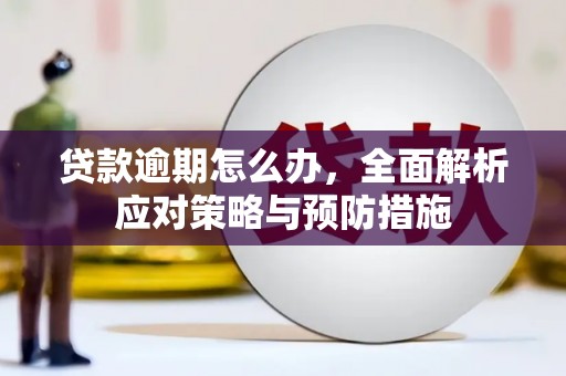 郴州贷款逾期怎么办，全面解析应对策略与预防措施