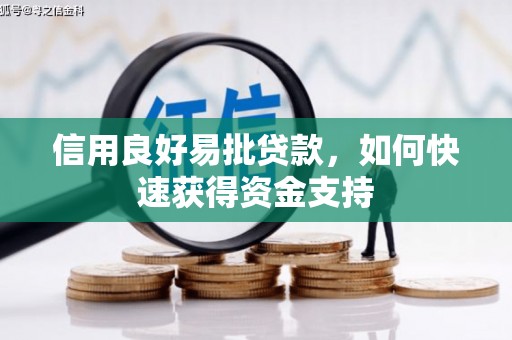 郴州信用良好易批贷款，如何快速获得资金支持