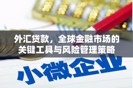 郴州外汇贷款，全球金融市场的关键工具与风险管理策略