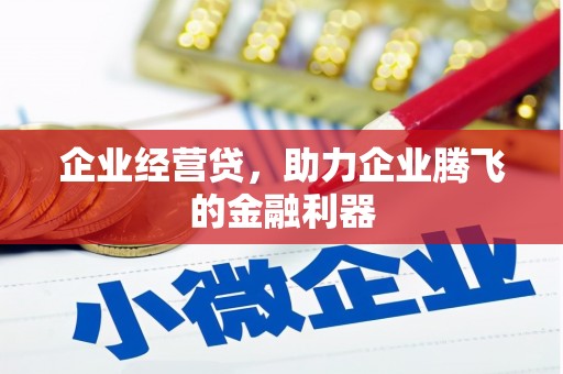 郴州企业经营贷，助力企业腾飞的金融利器