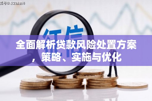 郴州全面解析贷款风险处置方案，策略、实施与优化