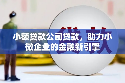 郴州小额贷款公司贷款，助力小微企业的金融新引擎