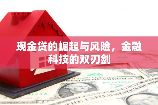 郴州现金贷的崛起与风险，金融科技的双刃剑