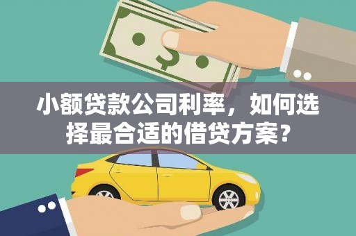 郴州小额贷款公司利率，如何选择最合适的借贷方案？