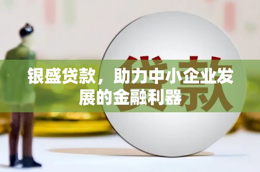 郴州银盛贷款，助力中小企业发展的金融利器