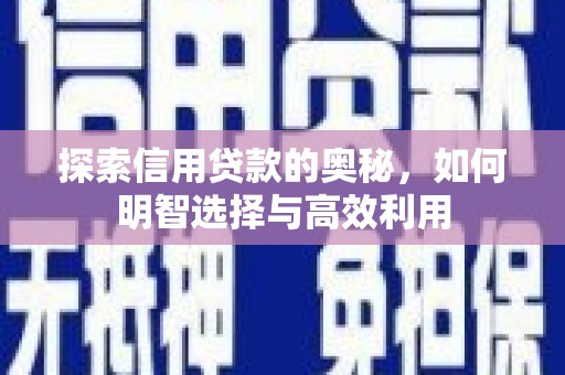 郴州探索信用贷款的奥秘，如何明智选择与高效利用