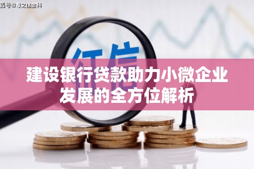 郴州建设银行贷款助力小微企业发展的全方位解析