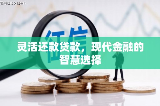 郴州灵活还款贷款，现代金融的智慧选择