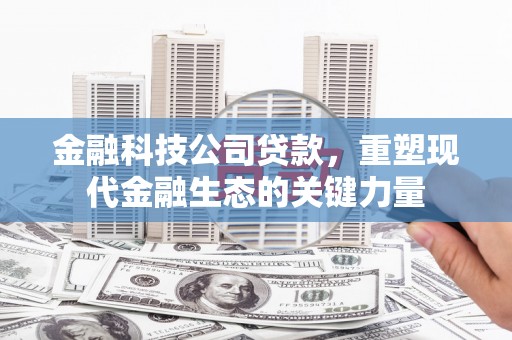 郴州金融科技公司贷款，重塑现代金融生态的关键力量