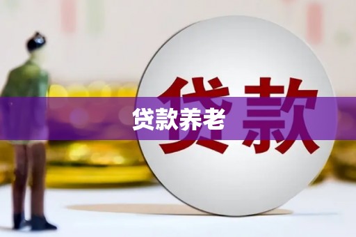 郴州贷款养老