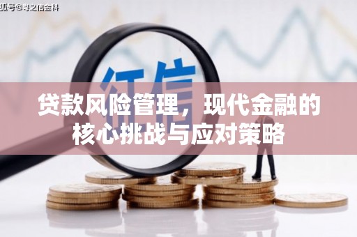郴州贷款风险管理，现代金融的核心挑战与应对策略